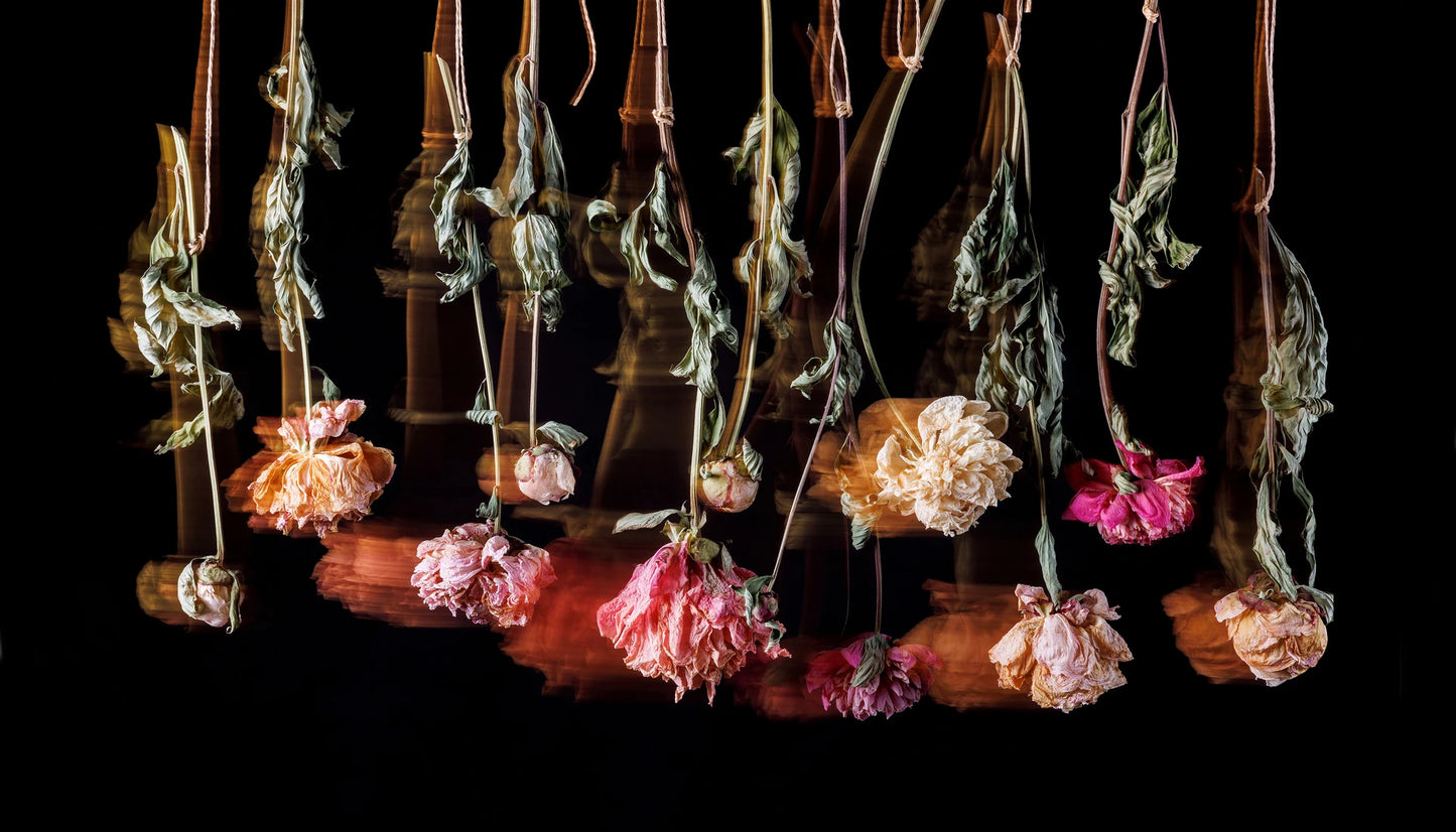 PENDULUM OF FLOWERS