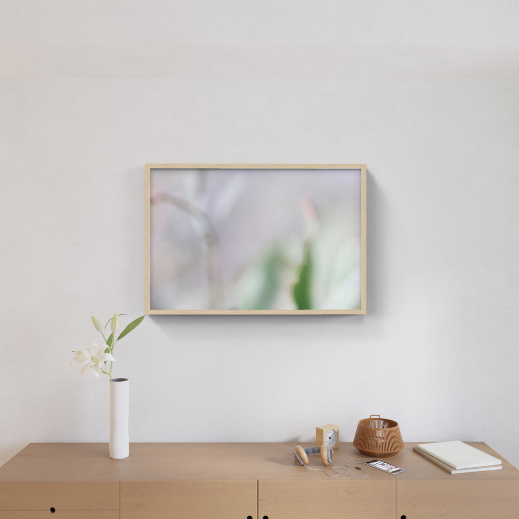 FIORITURA 01