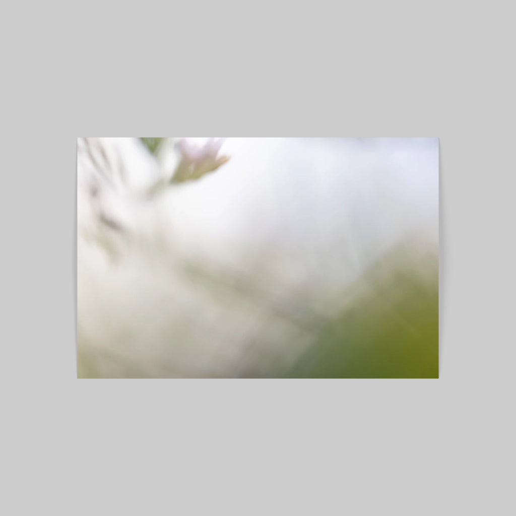 FLORALIA 03 (Triptichon / 3er Set)