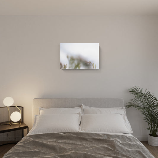 FLORALIA 01 (trittico / set di 3)