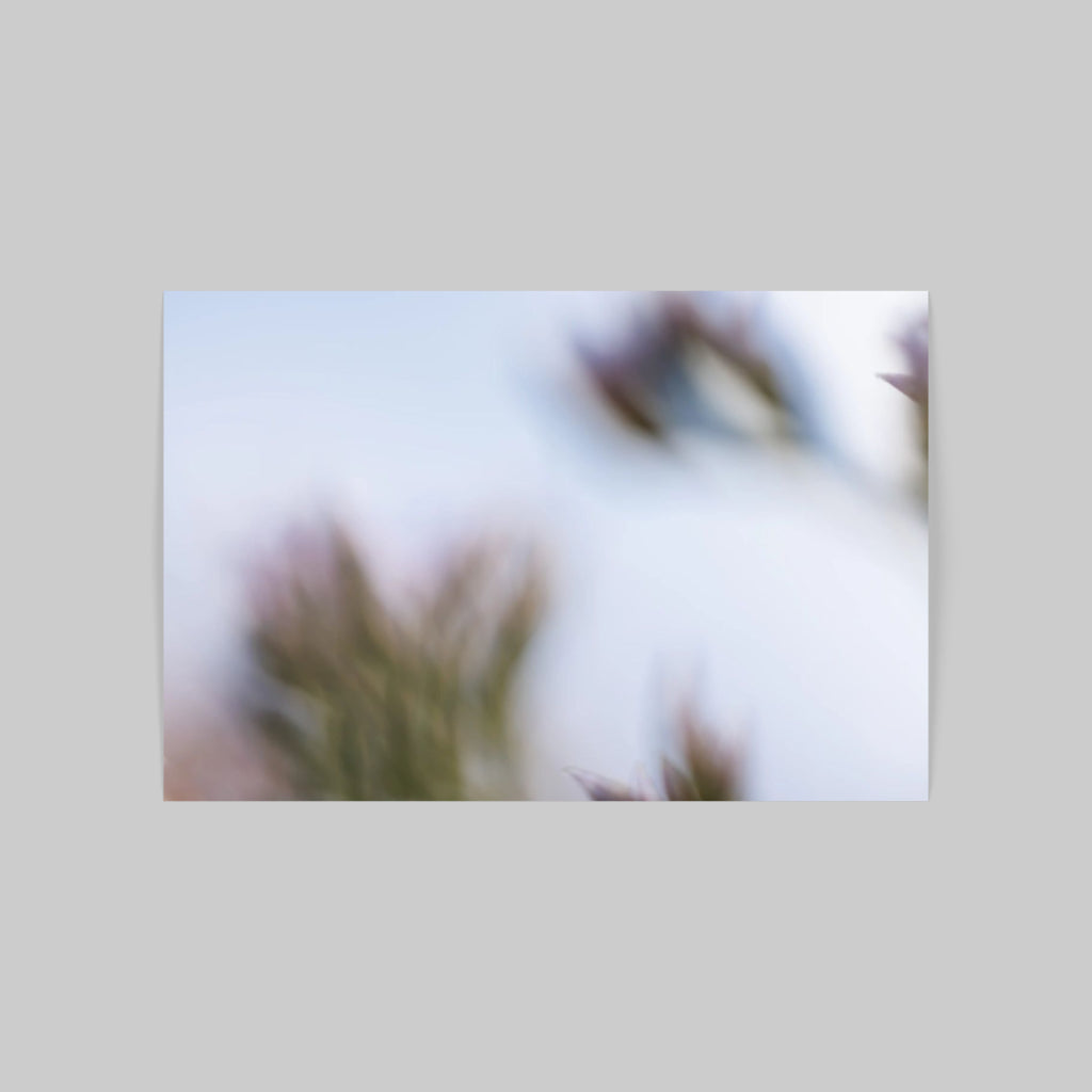 ENAIYA 01 (DIPTICHON)