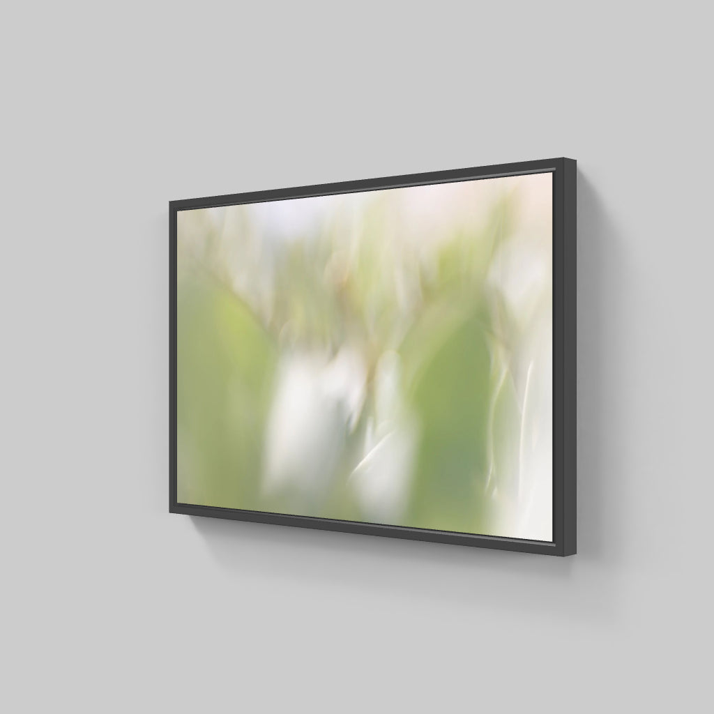 BLOSSOM 04