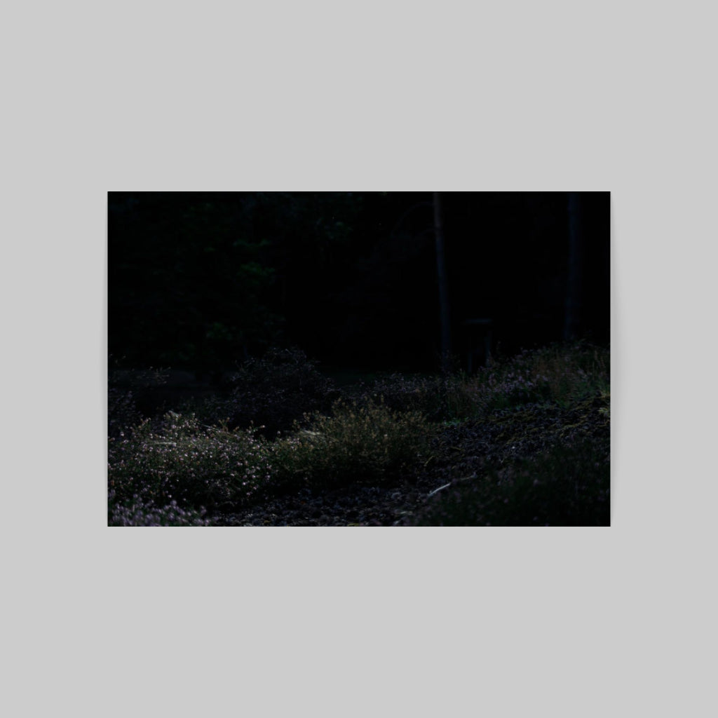 NIGHT ON EARTH 01