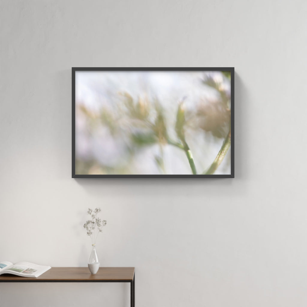 FLORALIA 02 (Triptichon / 3er Set)