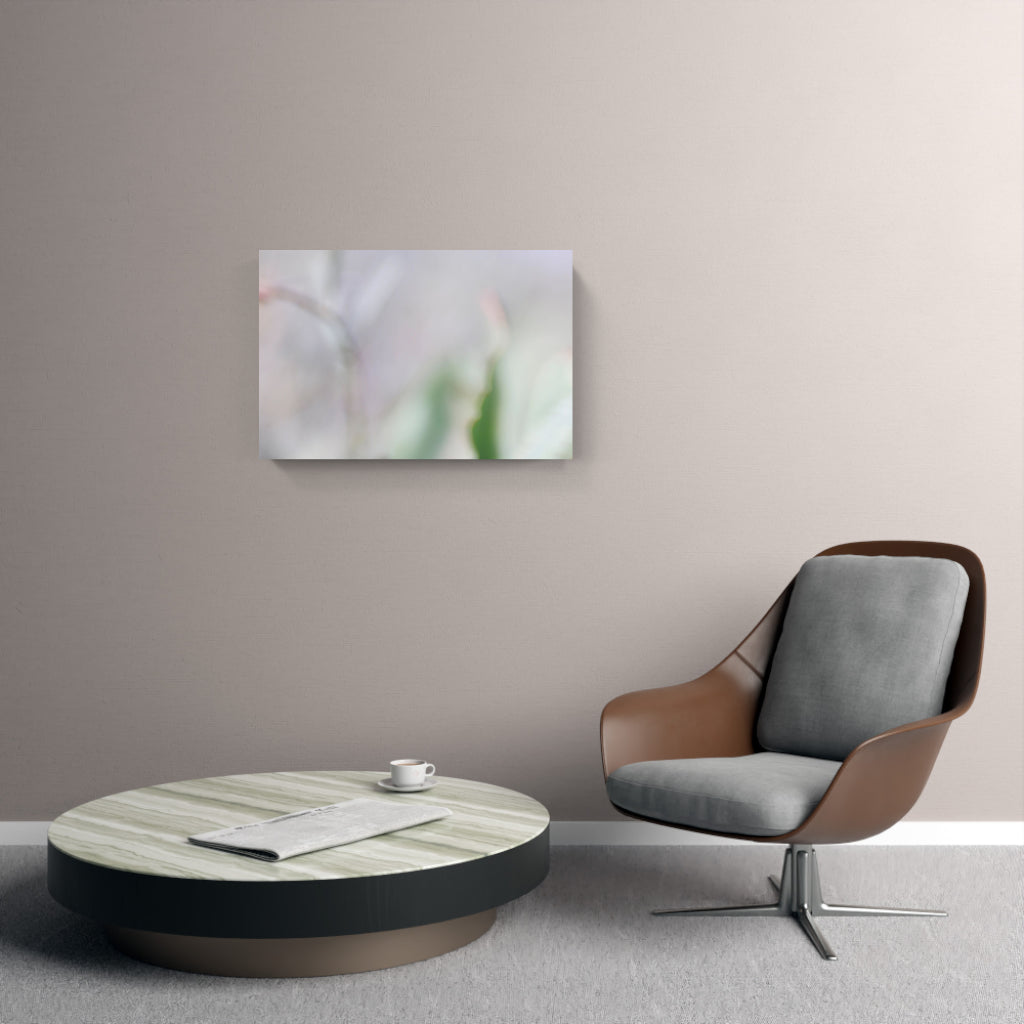 FIORITURA 01