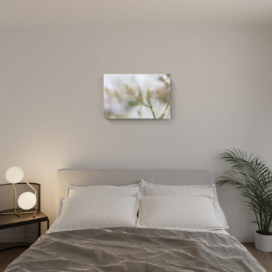 FLORALIA 02 (trittico / set di 3)