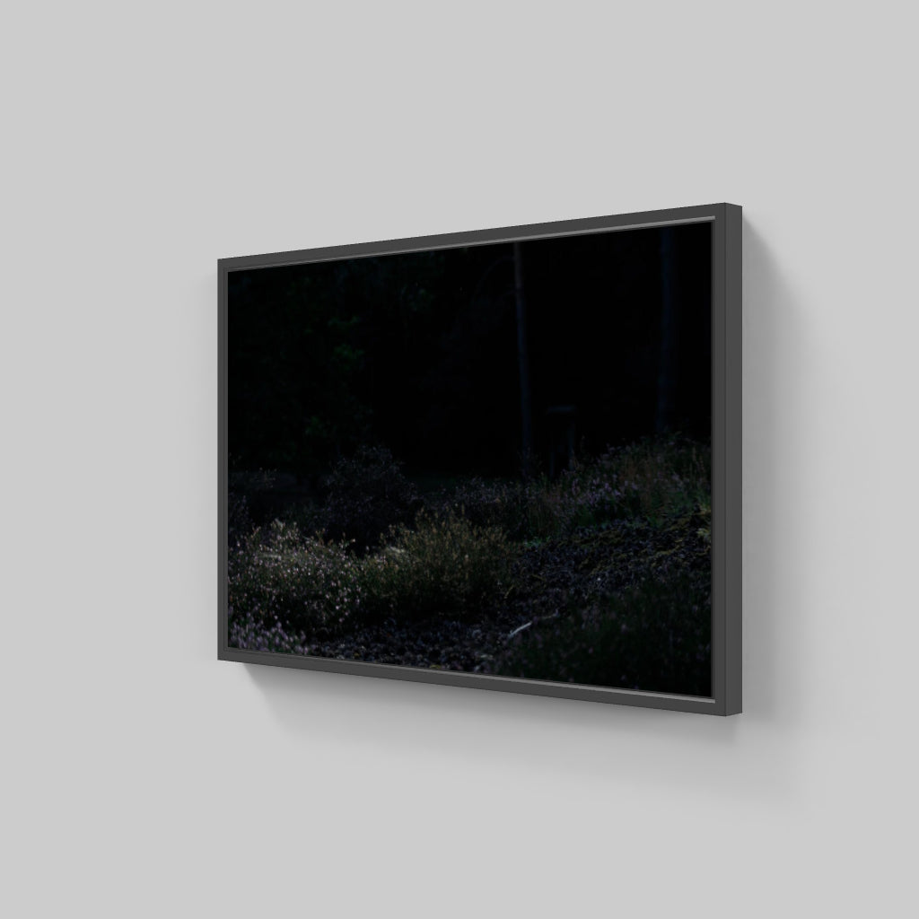 NIGHT ON EARTH 01