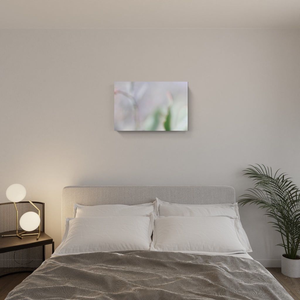 FIORITURA 01
