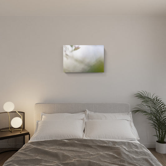 FLORALIA 03 (trittico / set di 3)