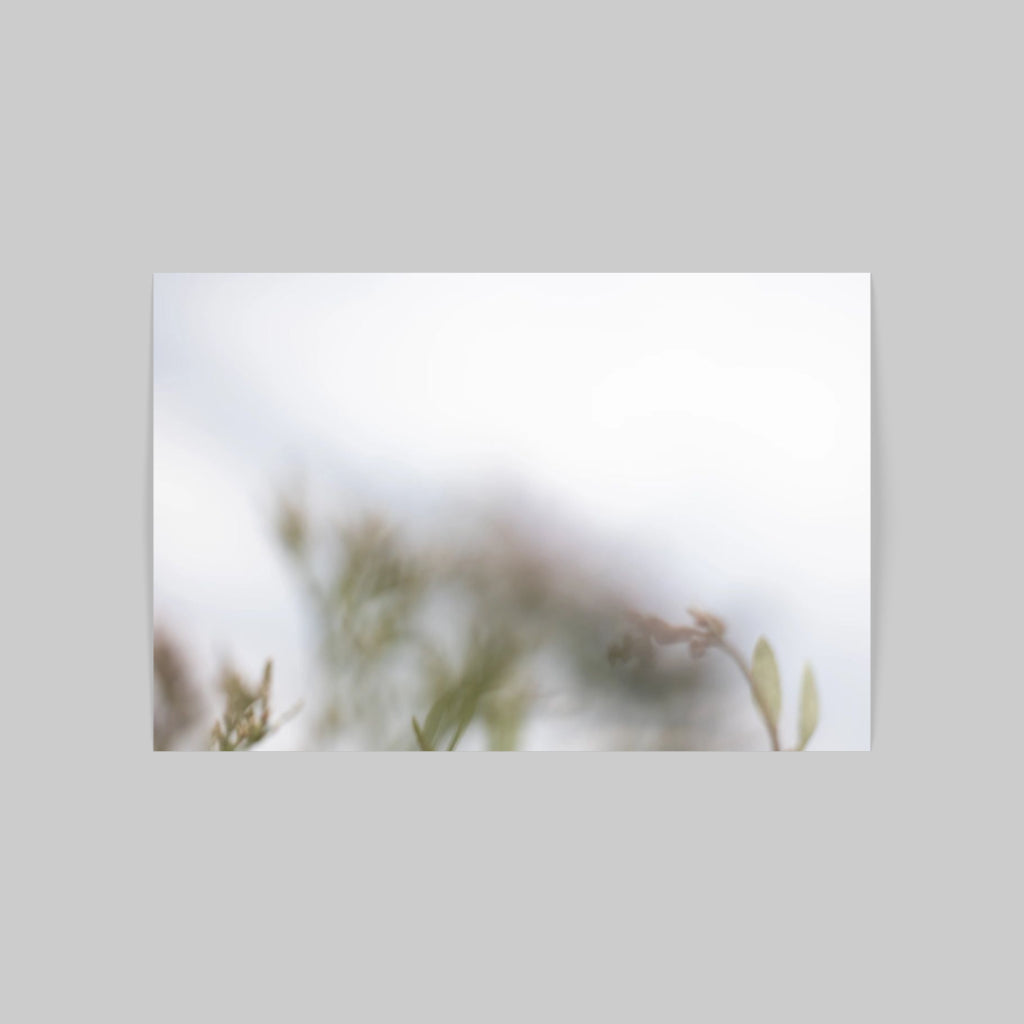 FLORALIA 01 (Triptichon / 3er Set)