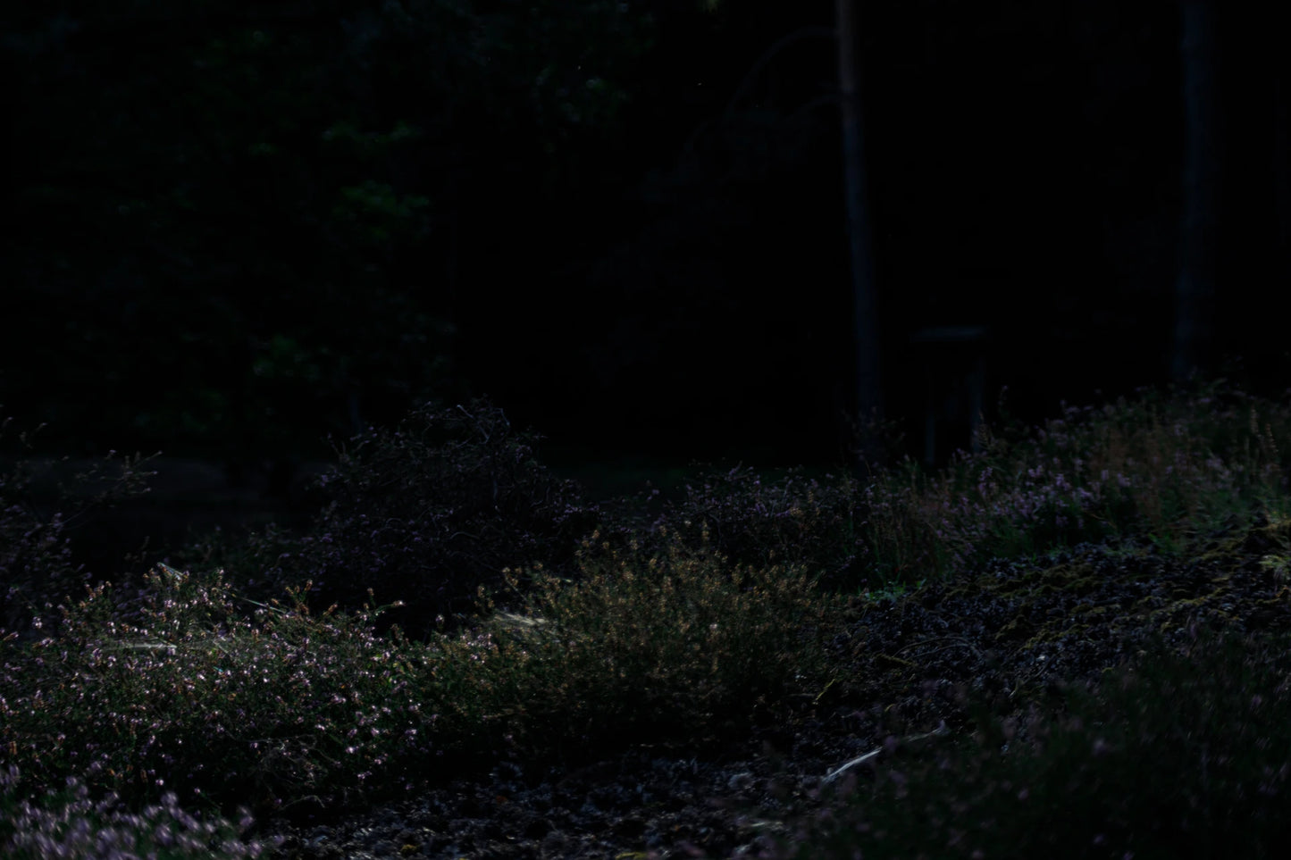 NIGHT ON EARTH 01