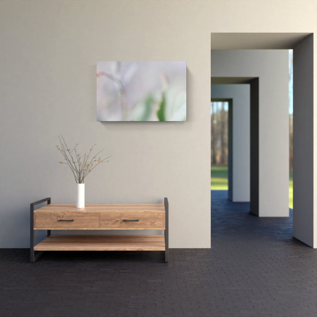 FIORITURA 01