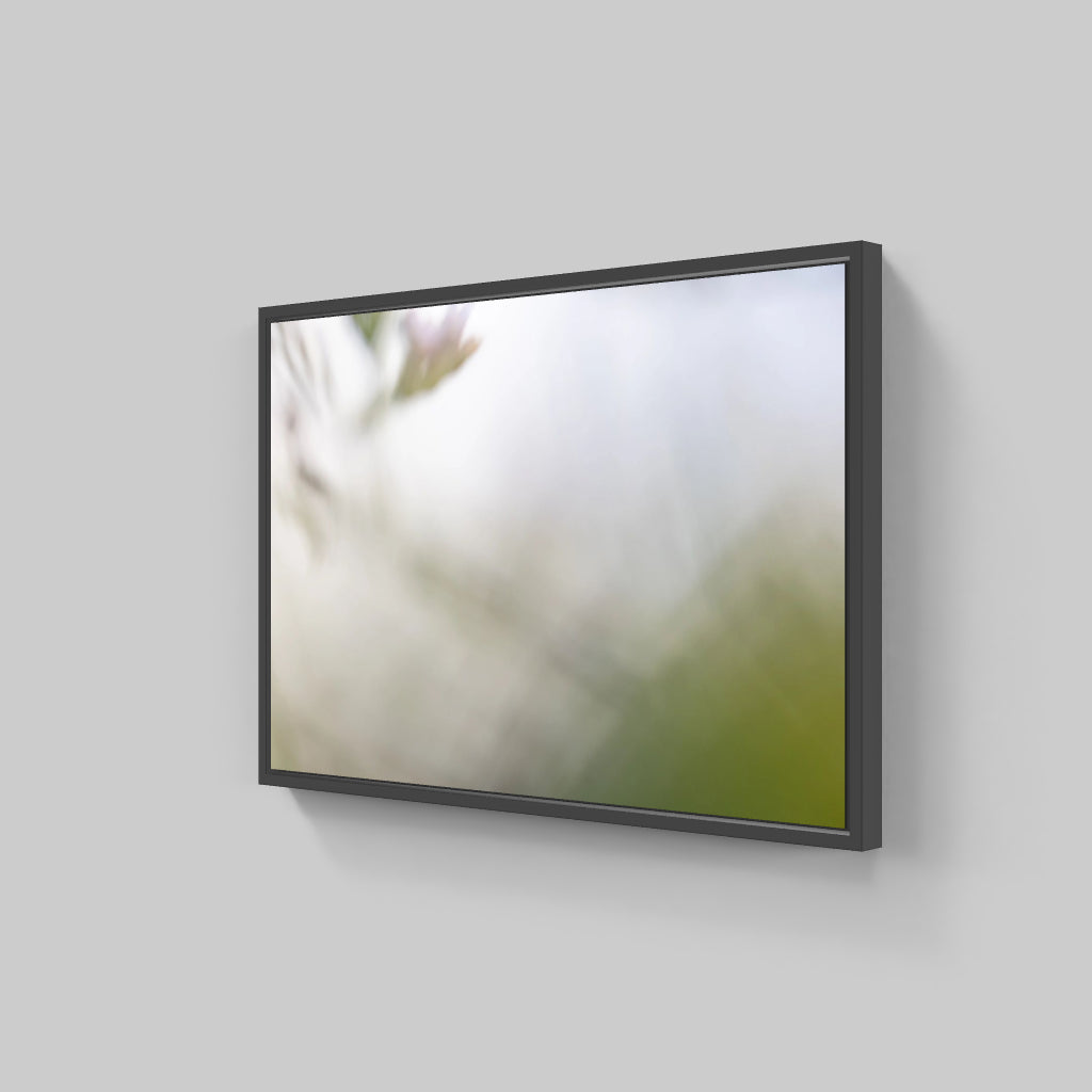 FLORALIA 03 (Triptichon / 3er Set)