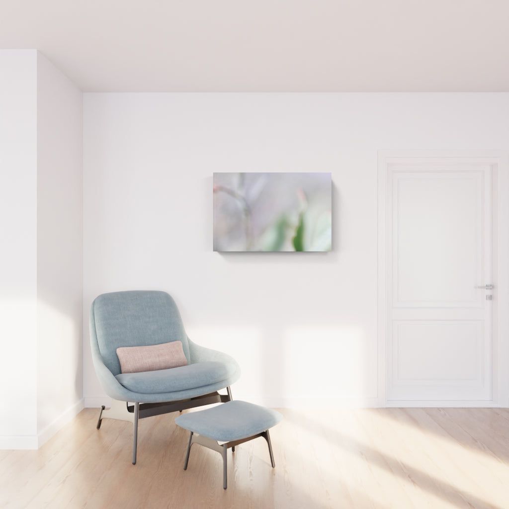 FIORITURA 01