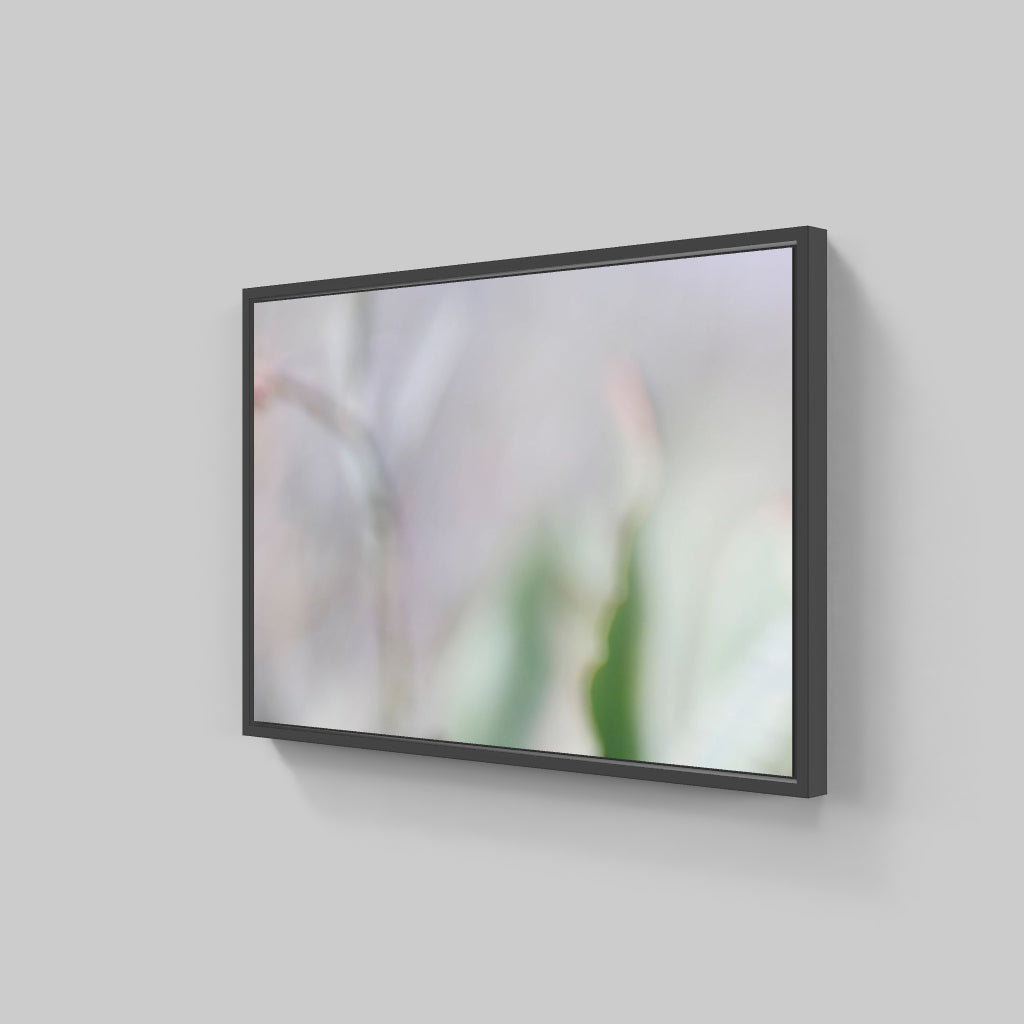 FIORITURA 01