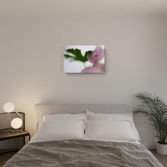 FLORALIA 04 (Duetto)