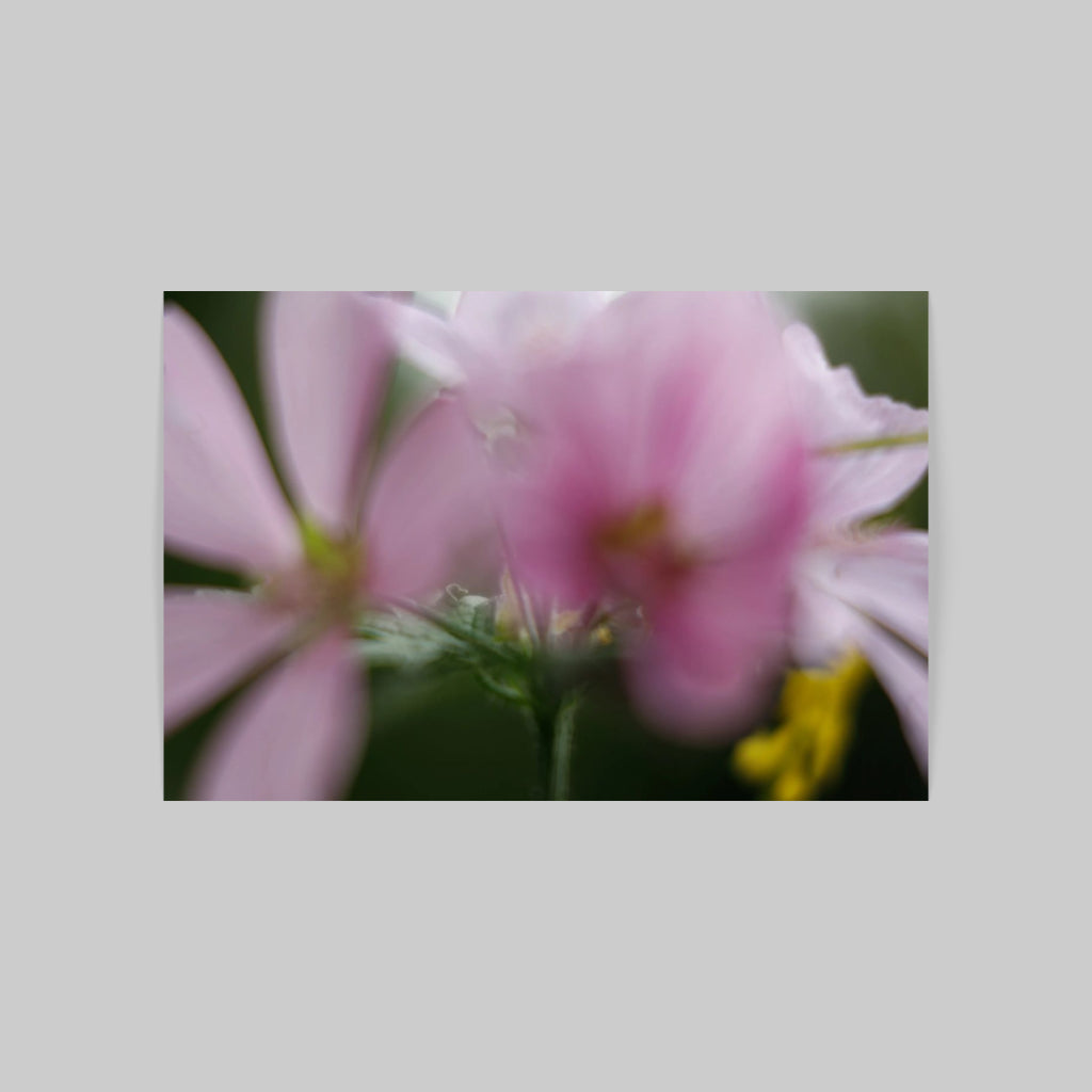 FLORALIA 05 (Duet)