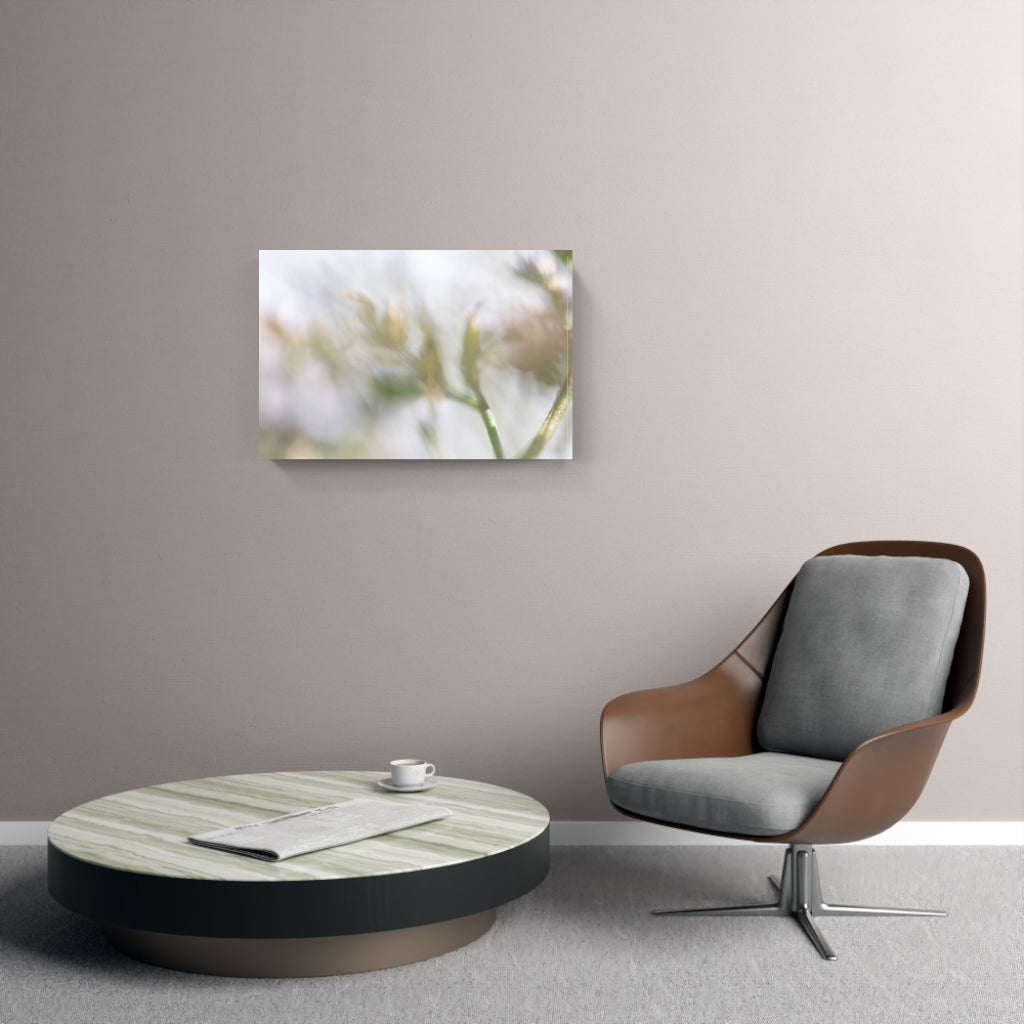 FLORALIA 02 (Triptichon / 3er Set)