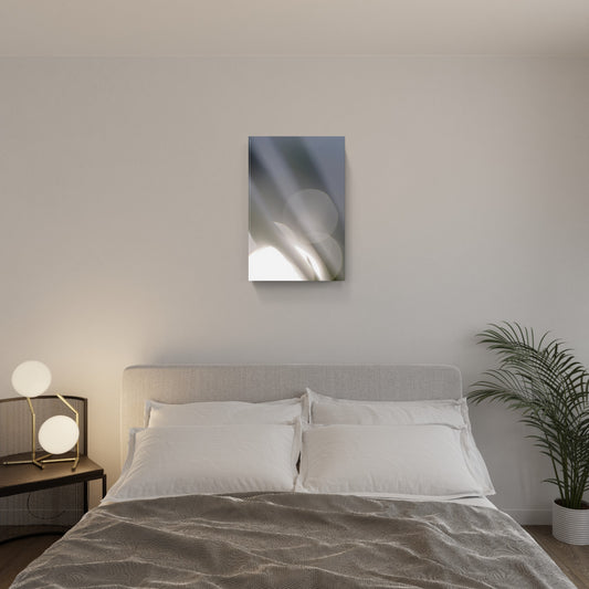 NOTTE SULLA TERRA 04