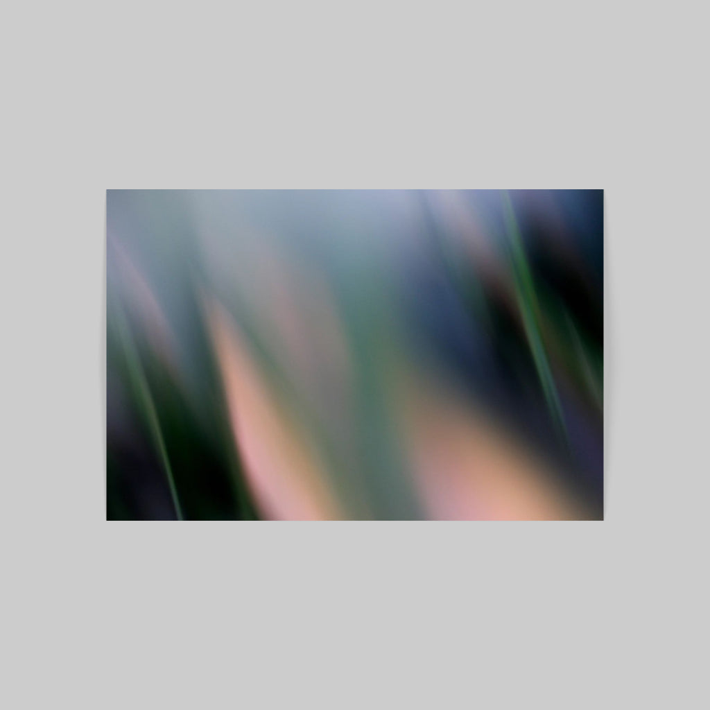FLOW 02