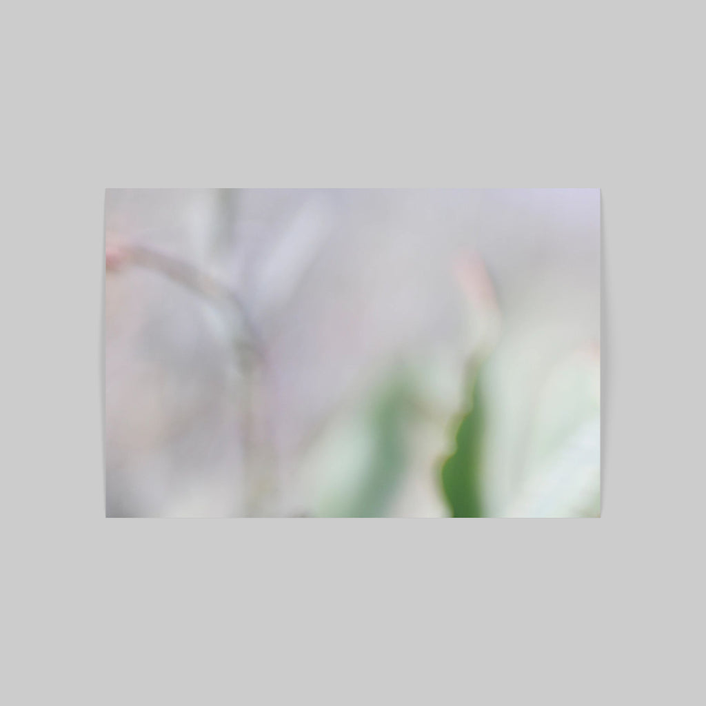FIORITURA 01
