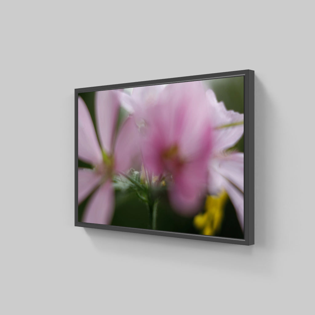 FLORALIA 05 (Duet)