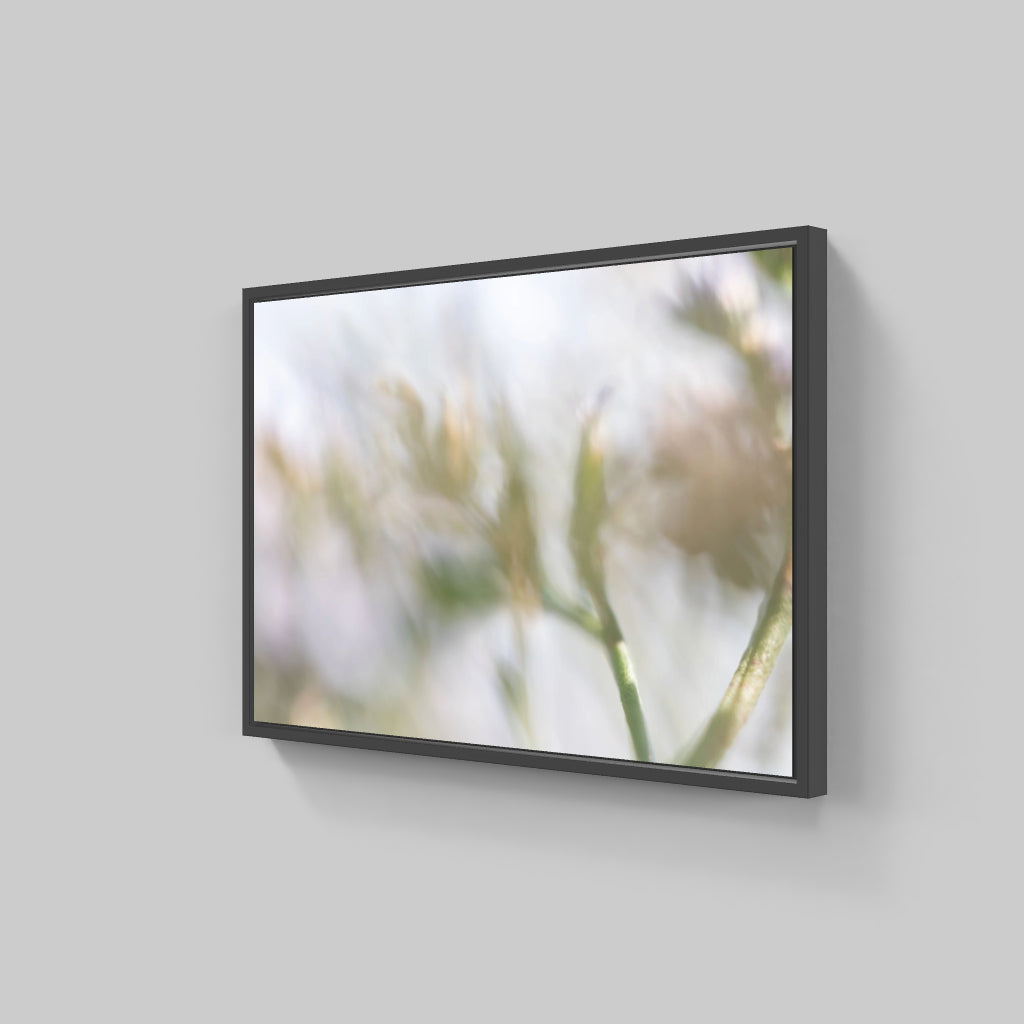 FLORALIA 02 (Triptichon / 3er Set)