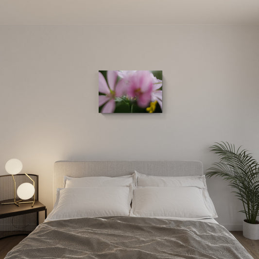 FLORALIA 05 (Duetto)