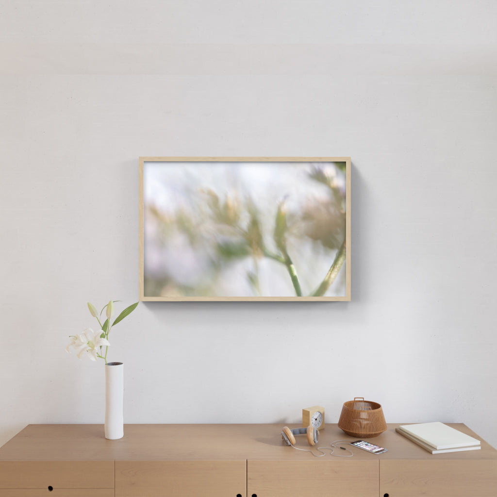 FLORALIA 02 (Triptichon / 3er Set)