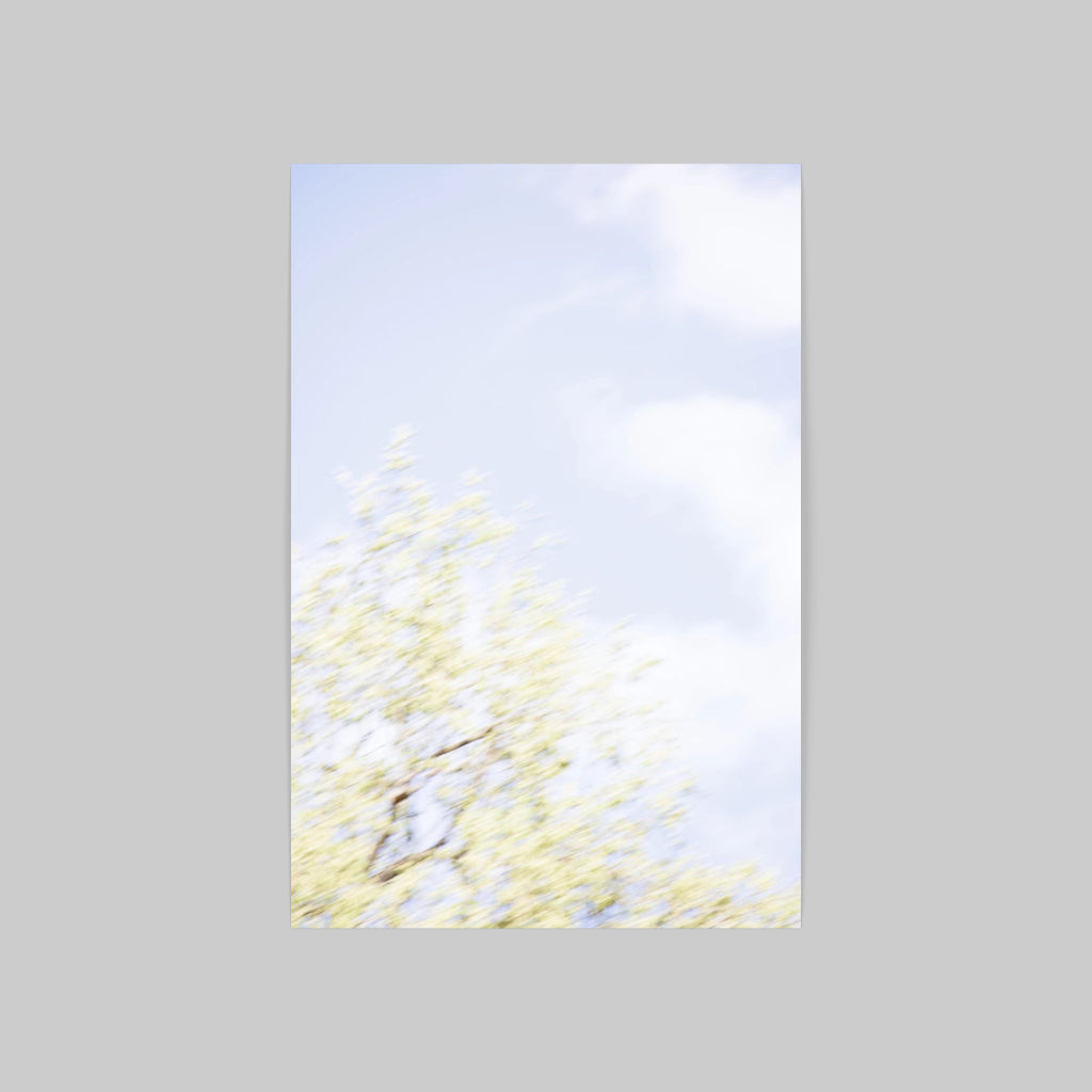 UNTITLED "C" (DRYPTICHON)