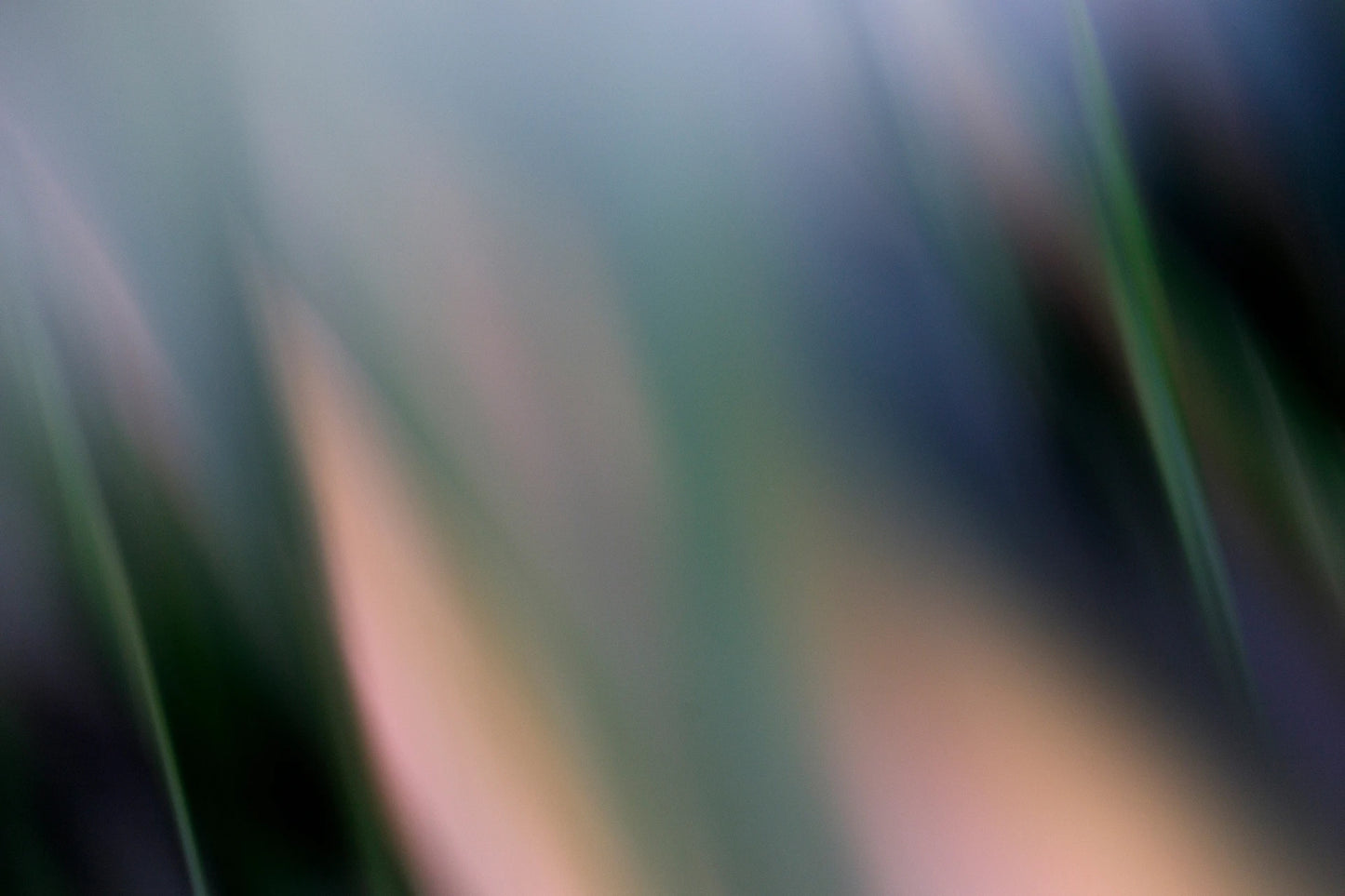 FLOW 02