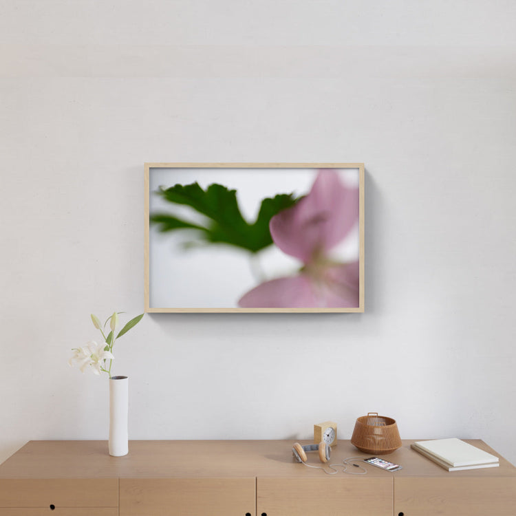 FLORALIA