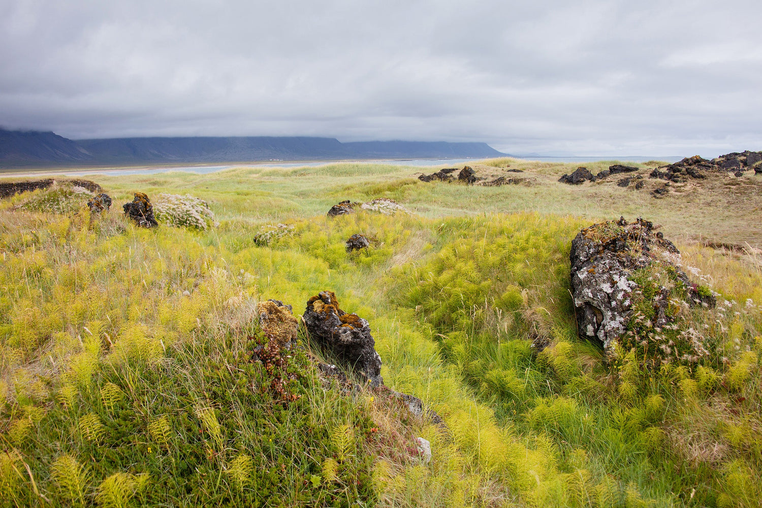 LANDSCAPE
